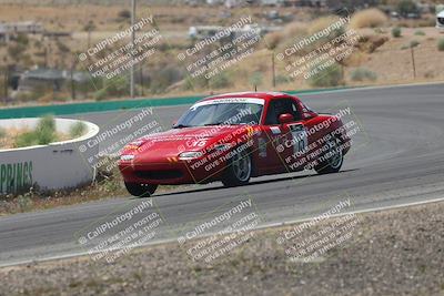 media/May-03-2025-Lucky Dog Racing (Sat) [[206de64b9d]]/Turn 4 B (1150am-130pm)/